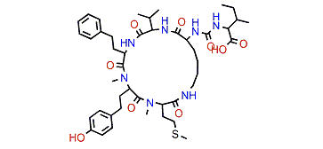 Anabaenopeptin NP 867